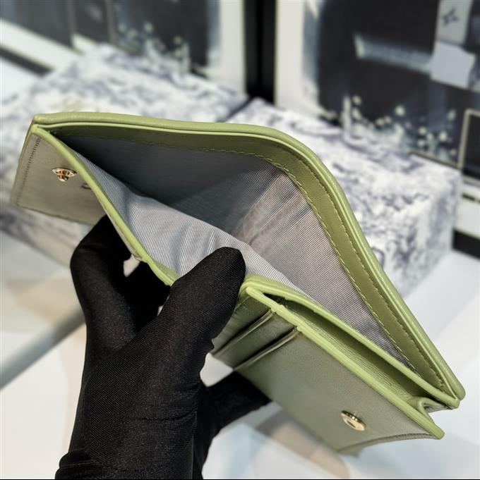 2025228Y 220P18214366